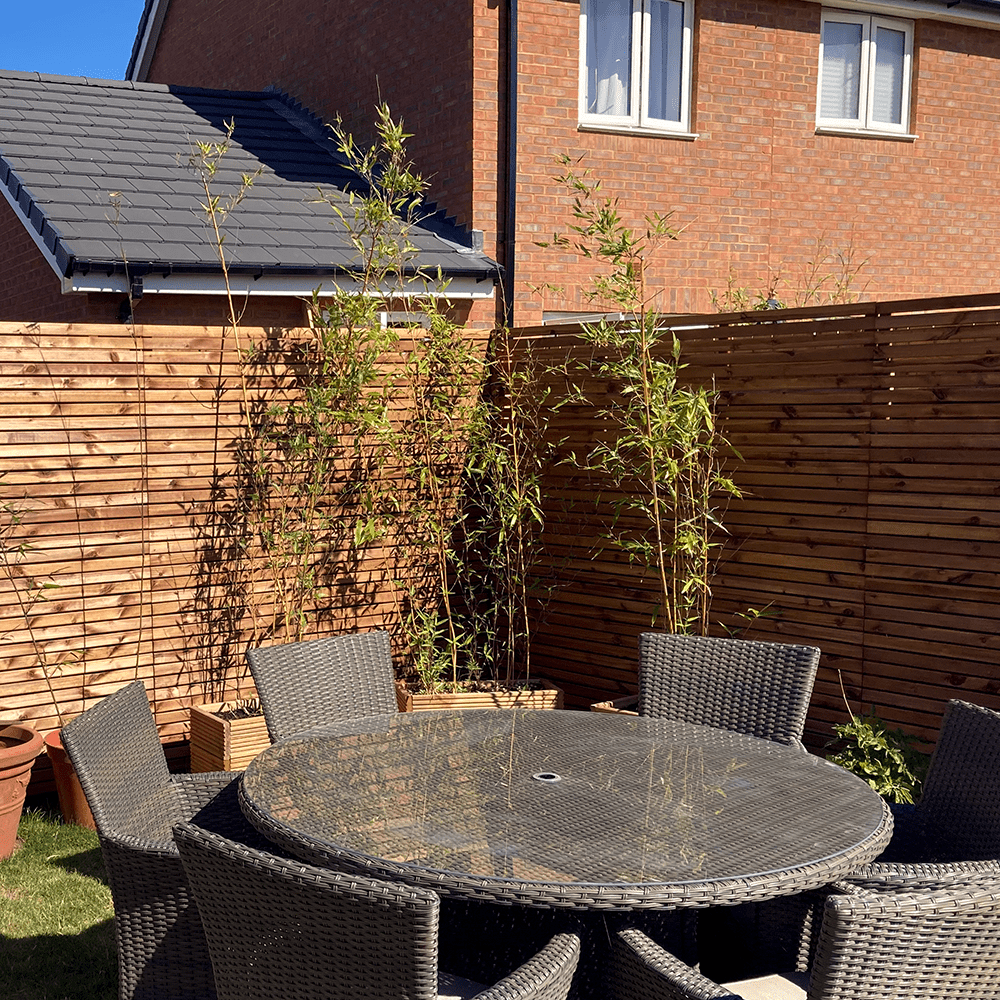 Our veil redwood fencing has a gorgeous texture to it.